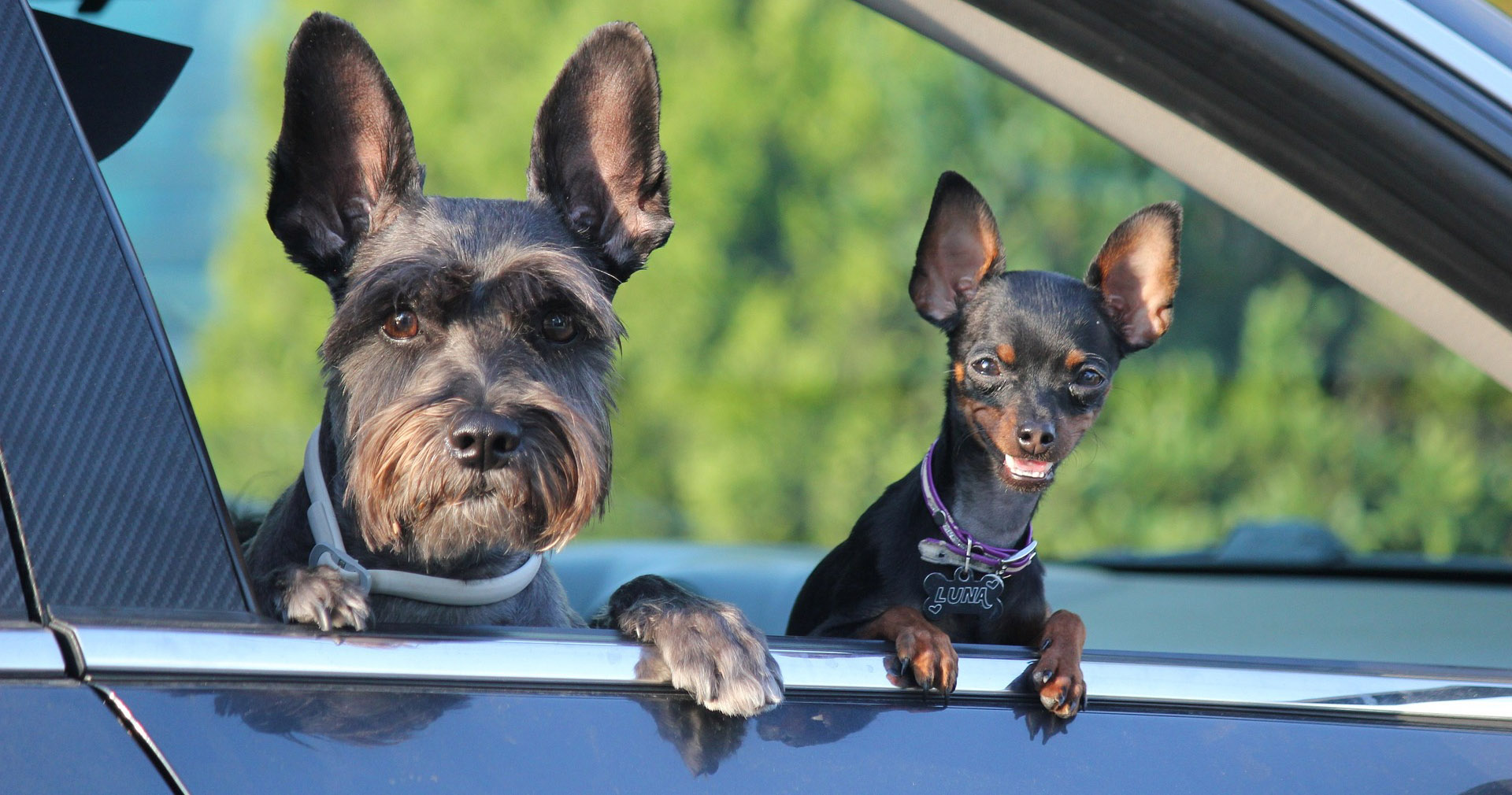 The Best Authorized User Tradelines for 2023